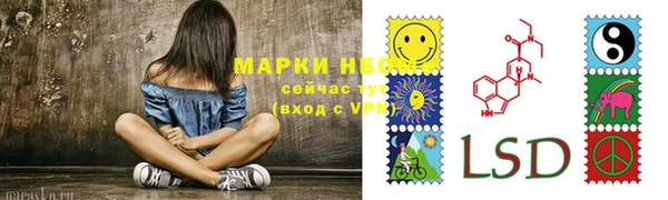 ешки Пересвет