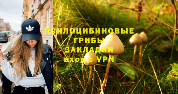 ешки Пересвет