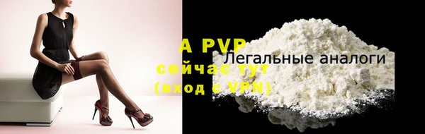 ешки Пересвет