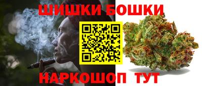 прущие грибы Заводоуковск