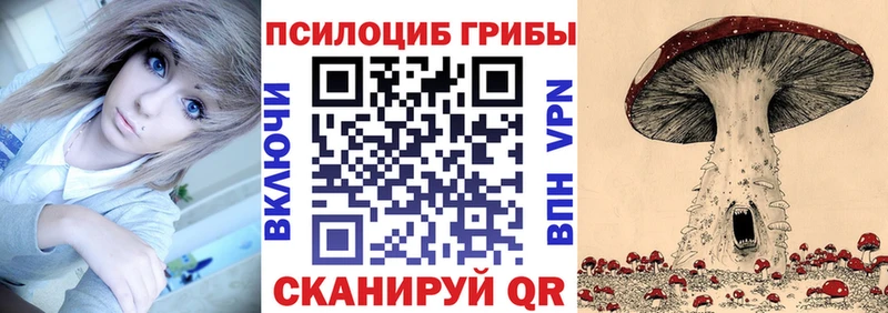 гидра ССЫЛКА Углич это формула Галлюциногенные грибы Psilocybe