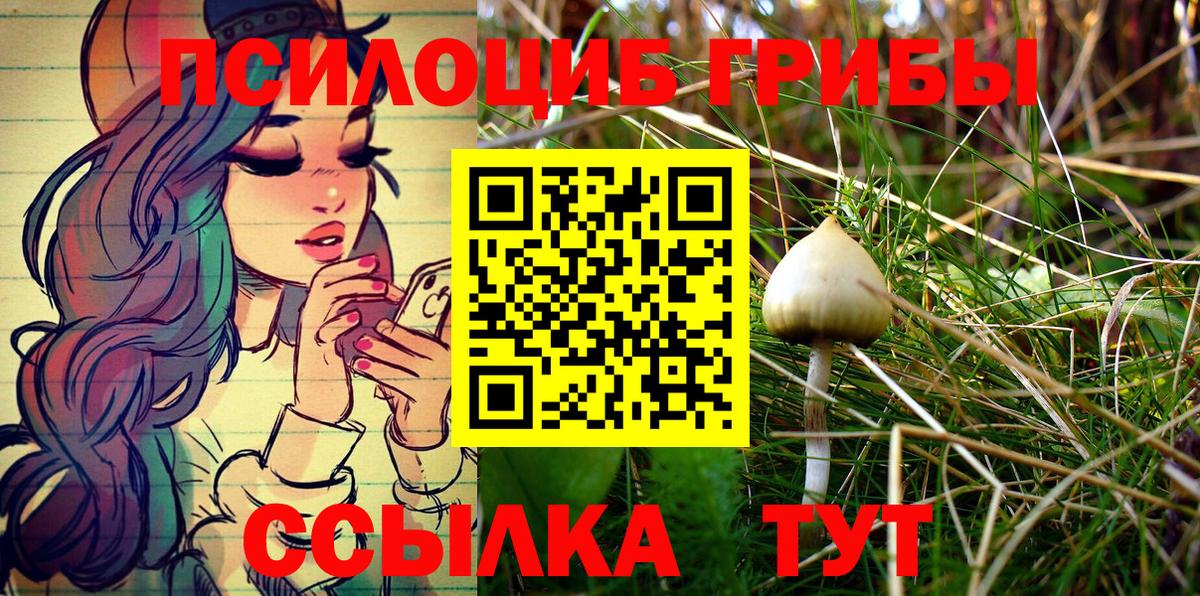 Углич  Псилоцибиновые грибы Magic Shrooms  Галлюциногенные грибы MAGIC MUSHROOMS  Вход с VPN 