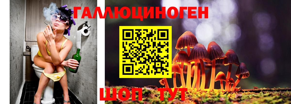 Псилоцибиновые грибы Magic Shrooms Углич